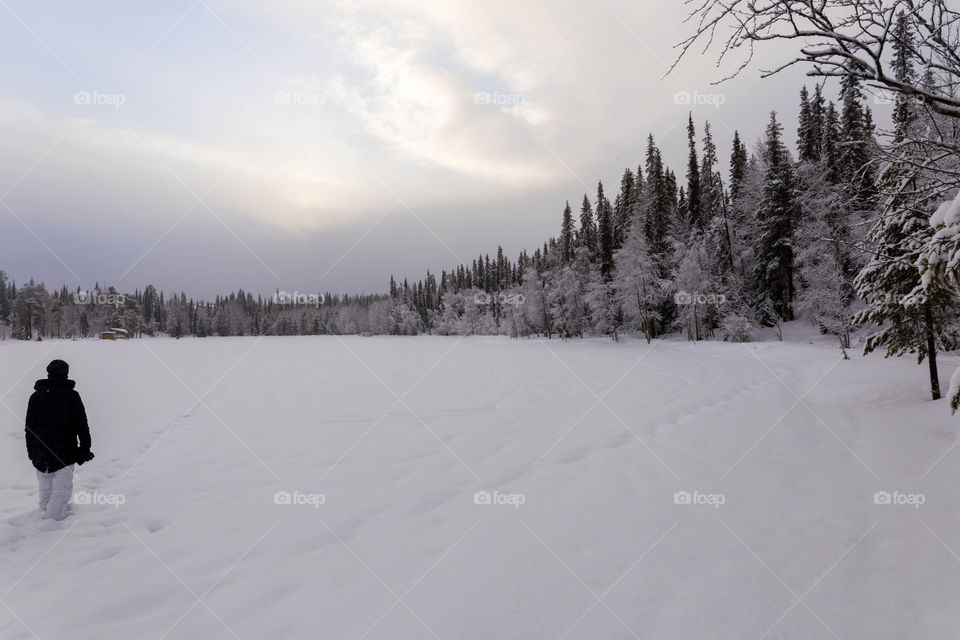 Winter Walk