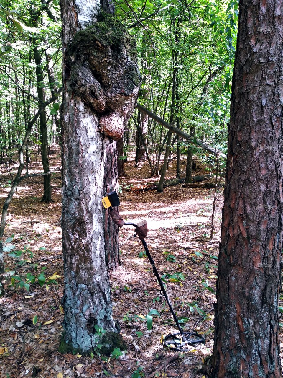 My hobby. Metal detecting, treasure hunting