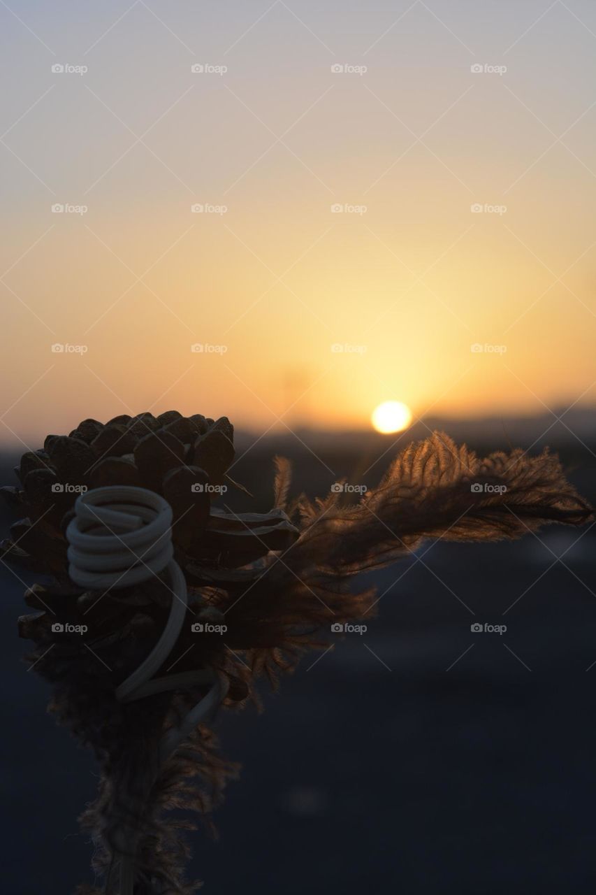 Sunsets are a magical sight