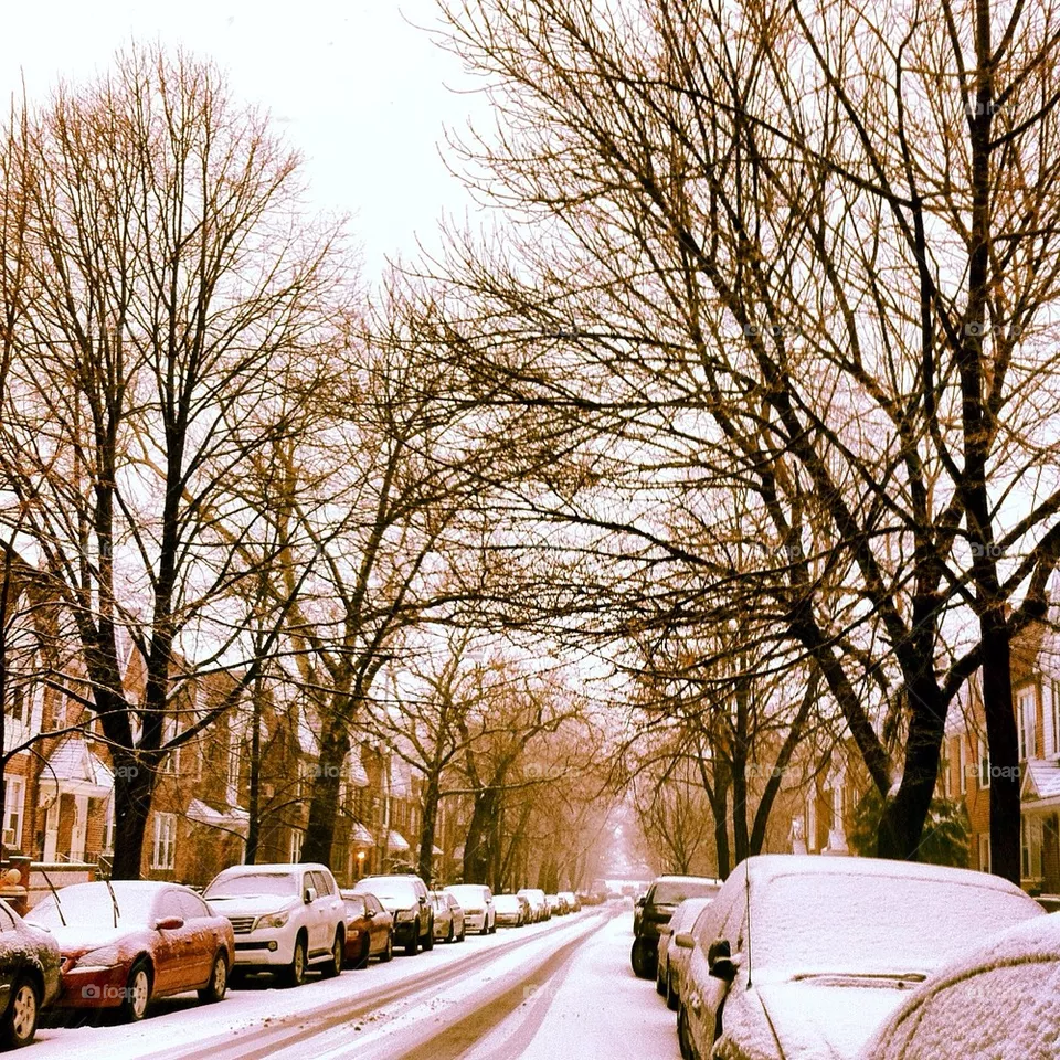 Winter
