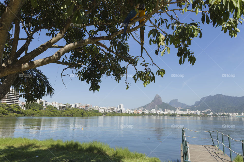 Rodrigo de Freitas Lagoon in Rio de Janeiro Brazil.