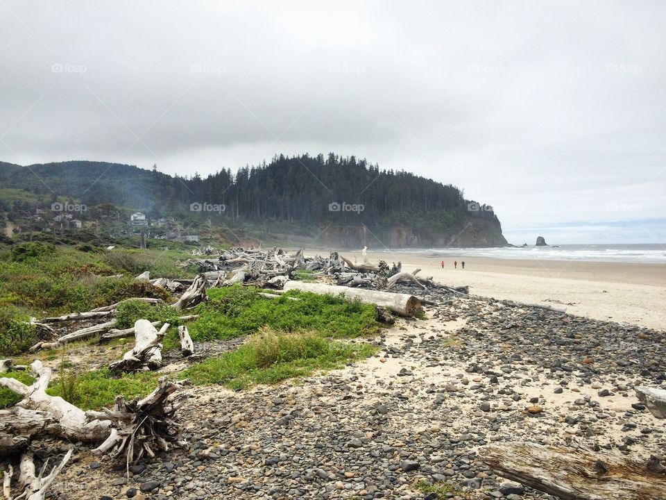 Oregon coast 