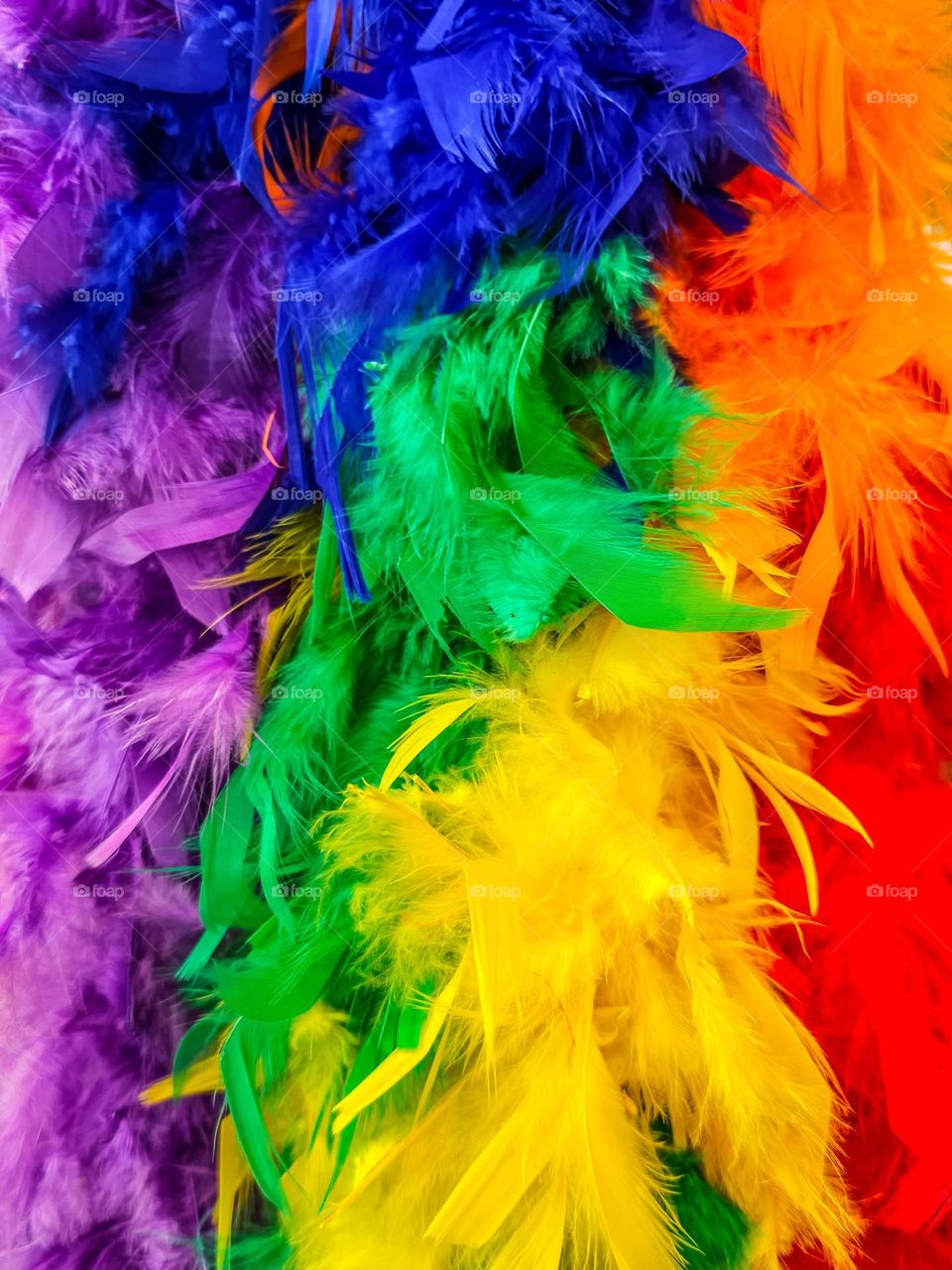 Rainbow feathers bursting with the colors of the gay Pride rainbow, flowing and harmoniously joined together 