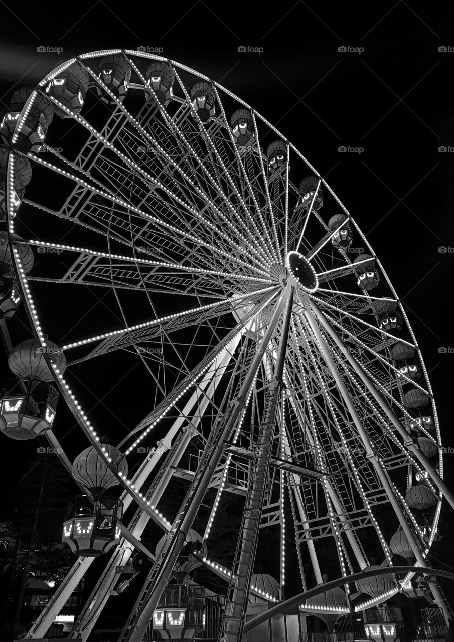 B&W carrousel