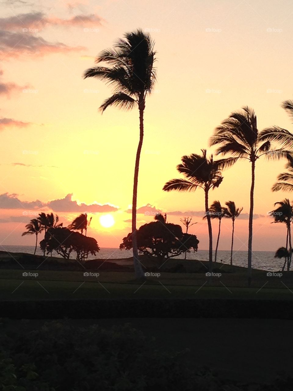Hawaiian Golf Course . Sunset over the golf course 