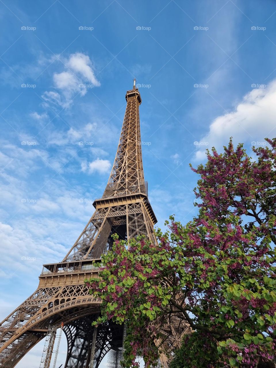 Desde cualquier ángulo es sorprendente