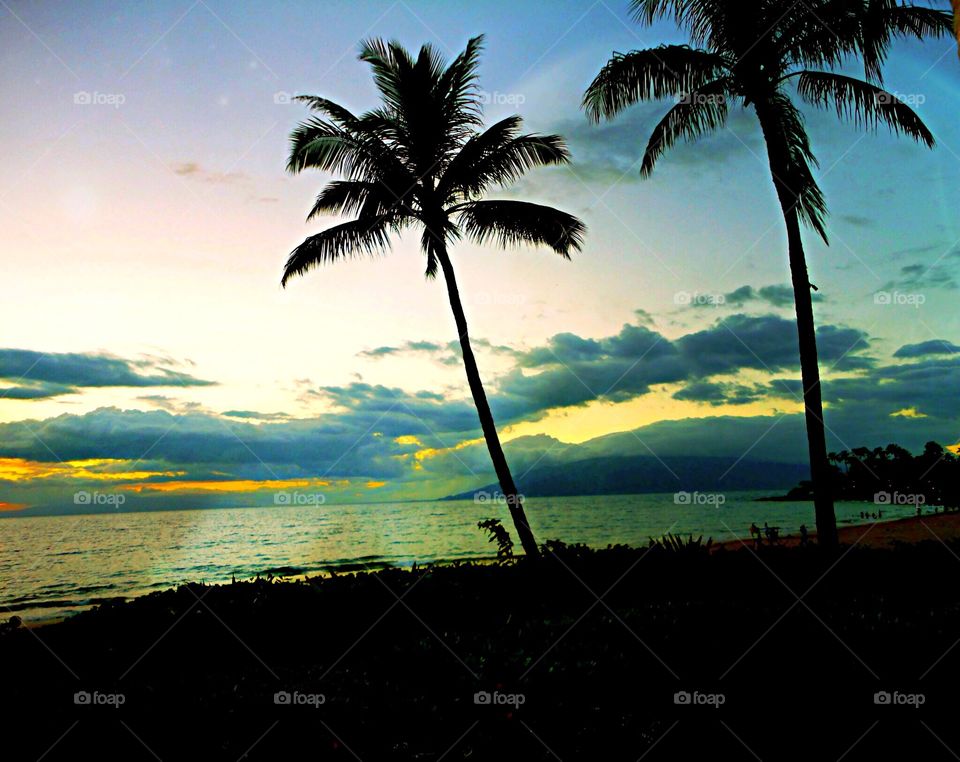 Maui. Hawaiin Paradise