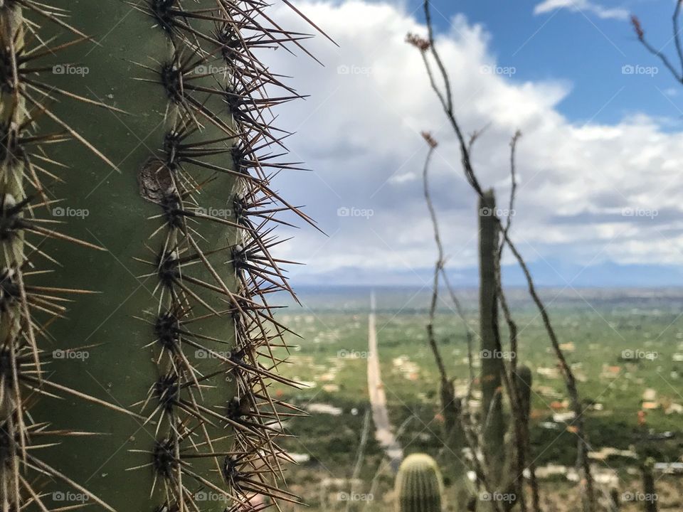 Nature - Hiking Adventures 