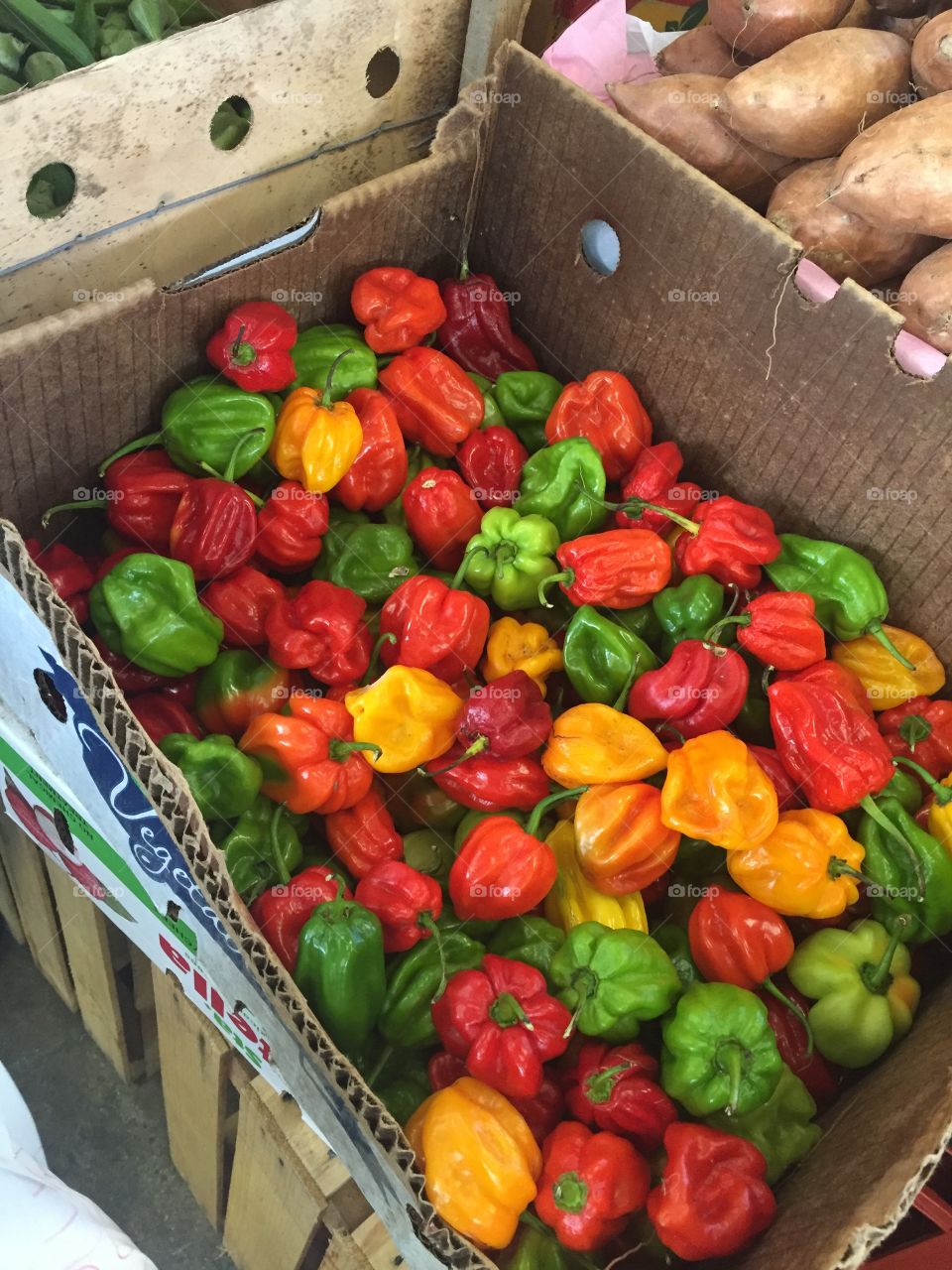 Peppers at the farmers market 