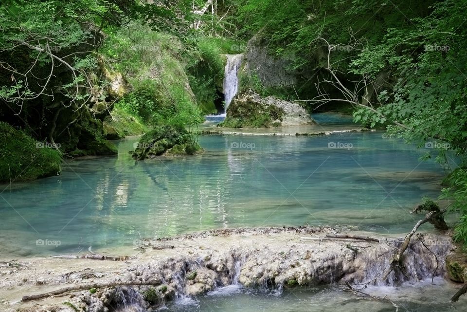 Pure water river in deep forest