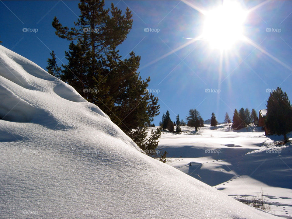 snow winter mountain tree by jbdc