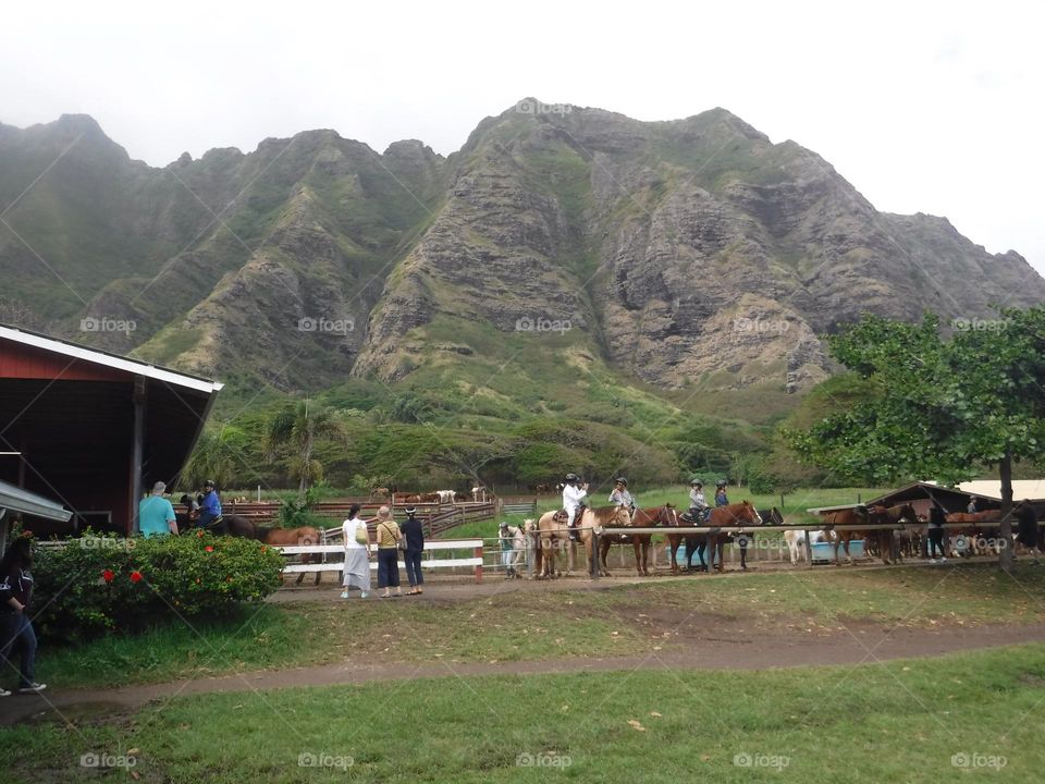 Kualoa Ranch Hawaii 