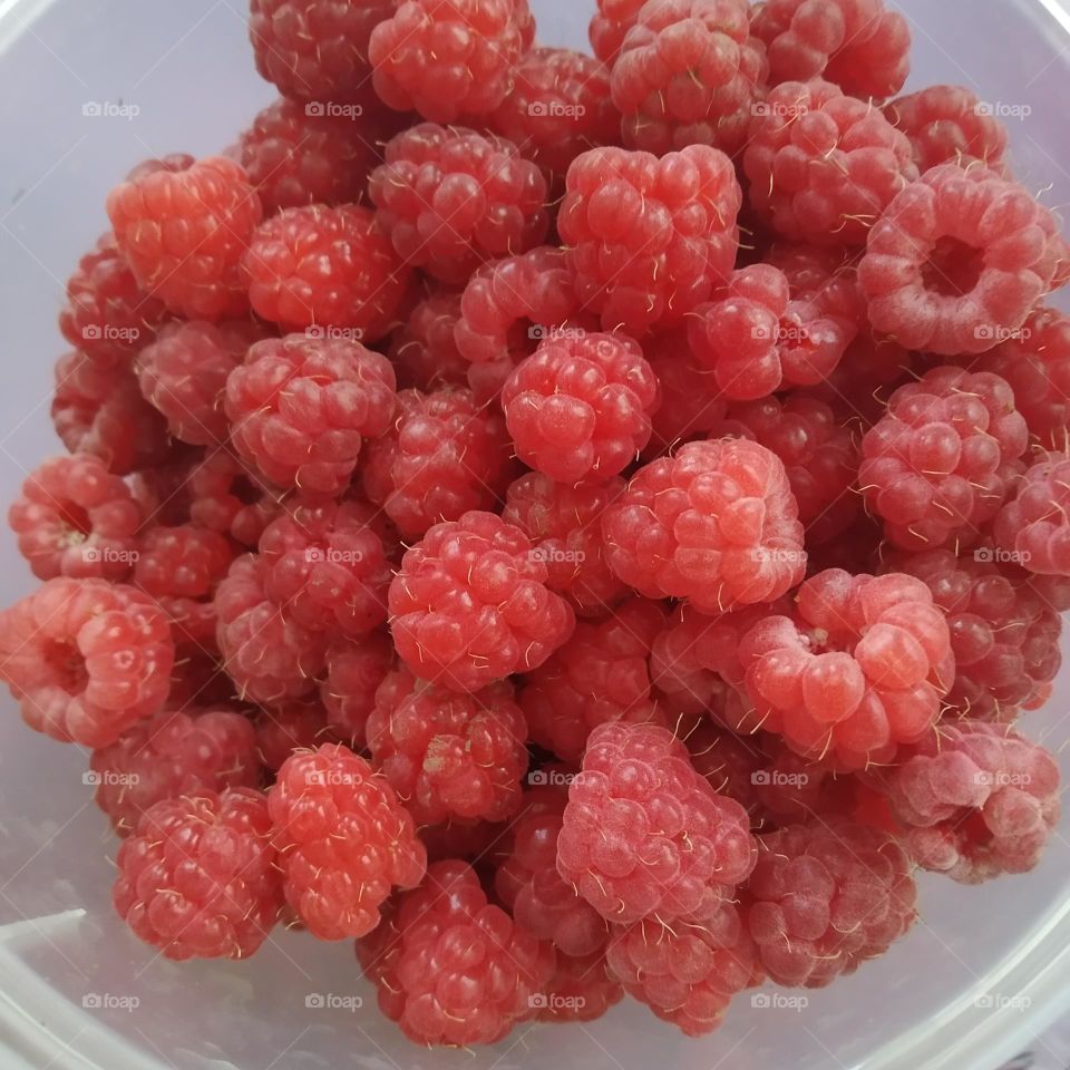 summer mood. raspberries