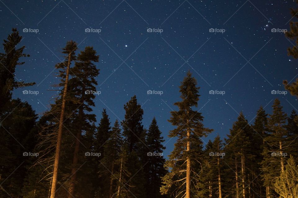 Starry Night in Tahoe California 