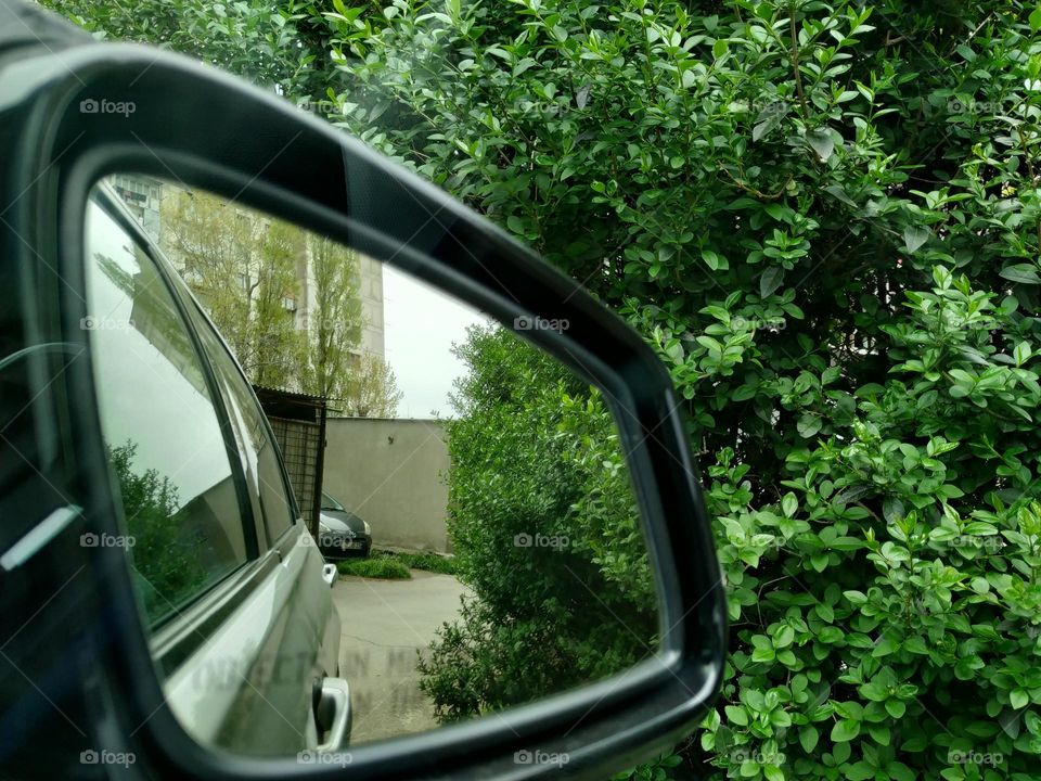 car mirror