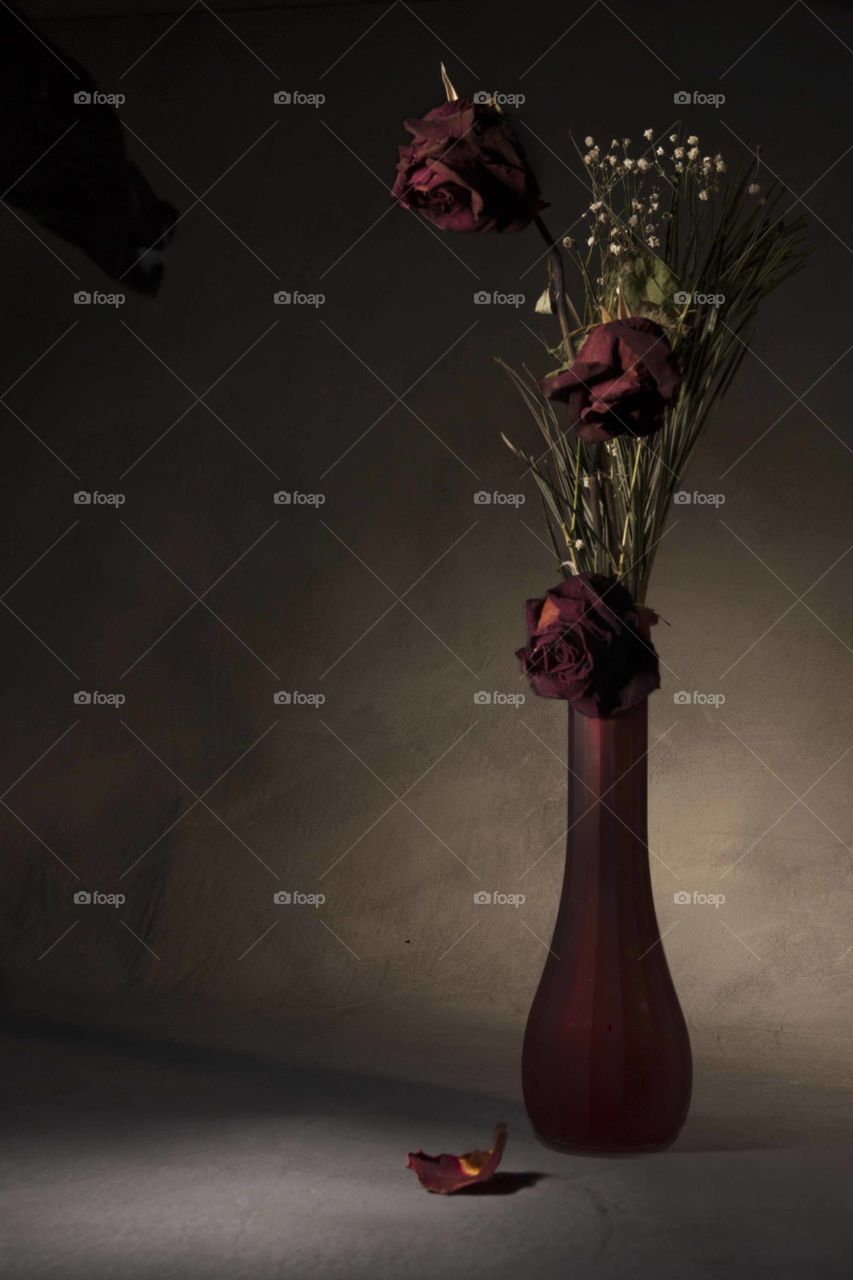 Still life roses