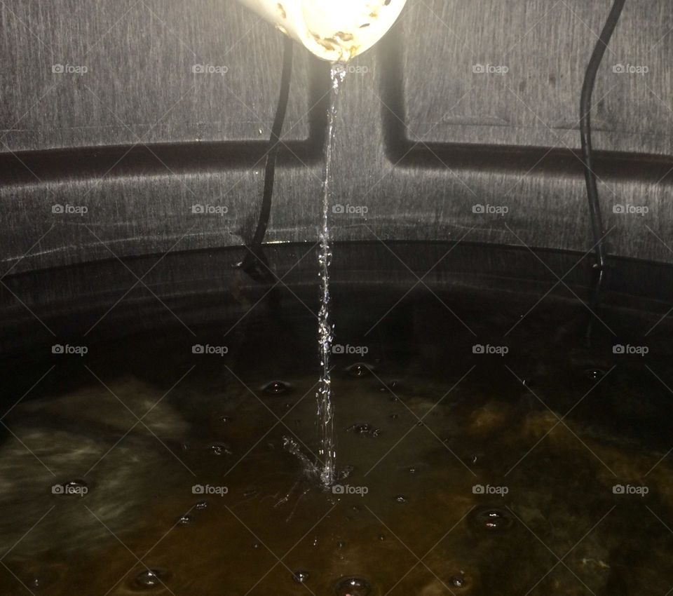 Bell Siphon Exit Pipe 2