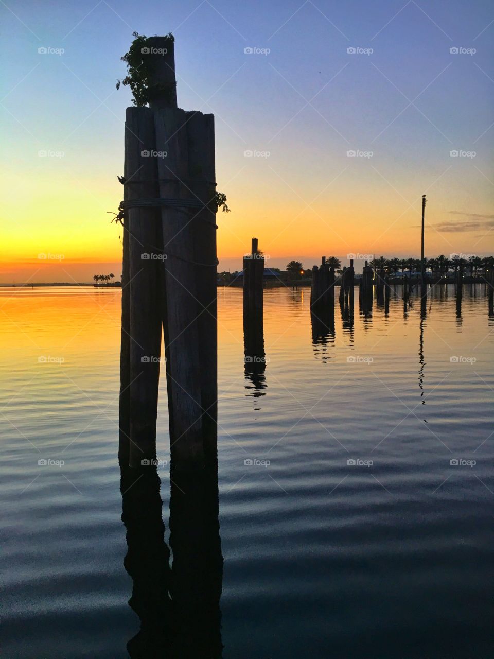 Sunset, Water, No Person, Dawn, Dusk