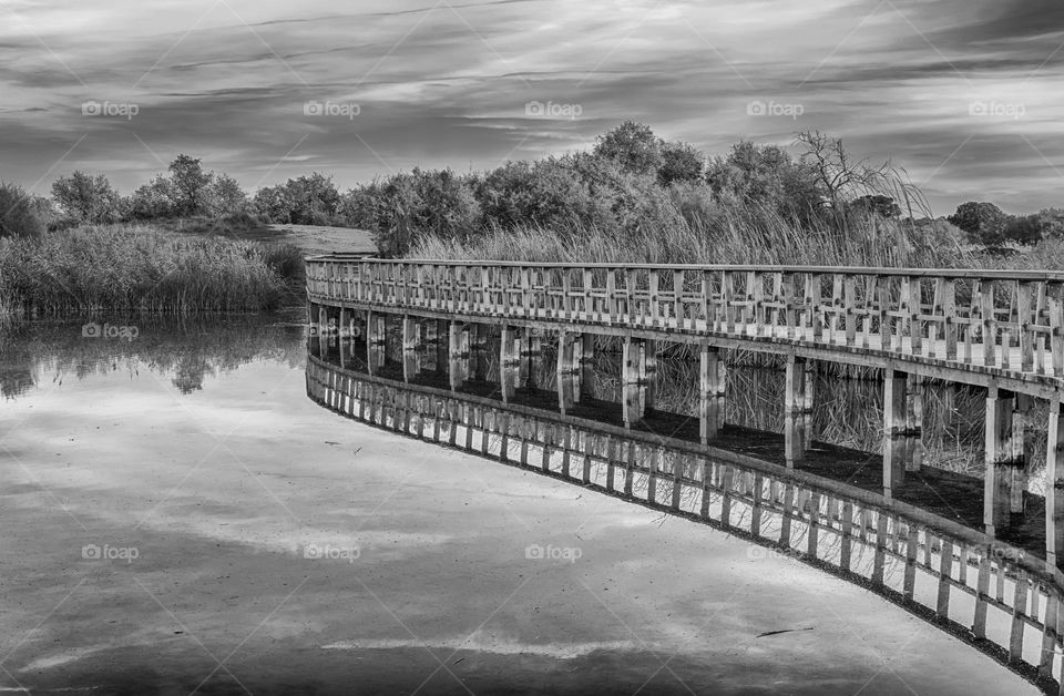 Footbridge on the lake. Black and White.