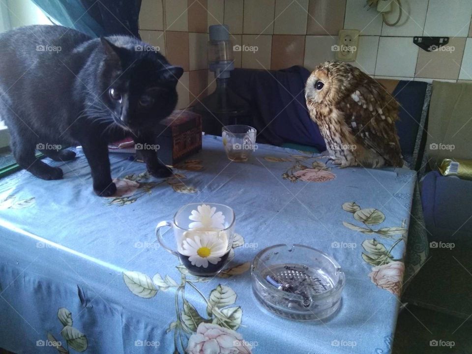 утренний кофе