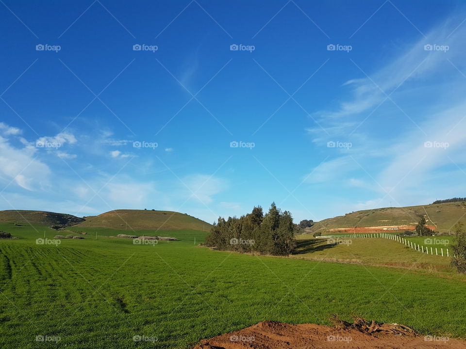 Moroccan Agricultural fields #10