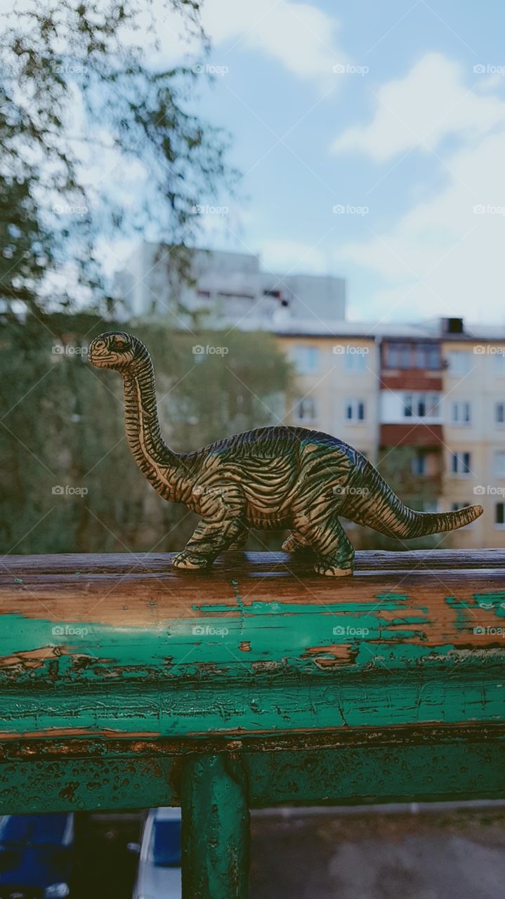 dinosaur