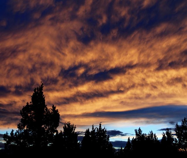 Brilliant red textured clouds against a blue sky over a group of trees below as the sun sets in Central Oregon winter evening. 