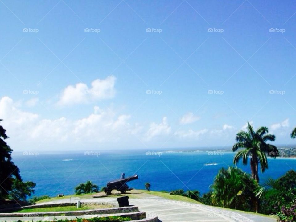 View of Tobago . Tobago 