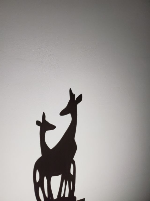 Giraffes in love