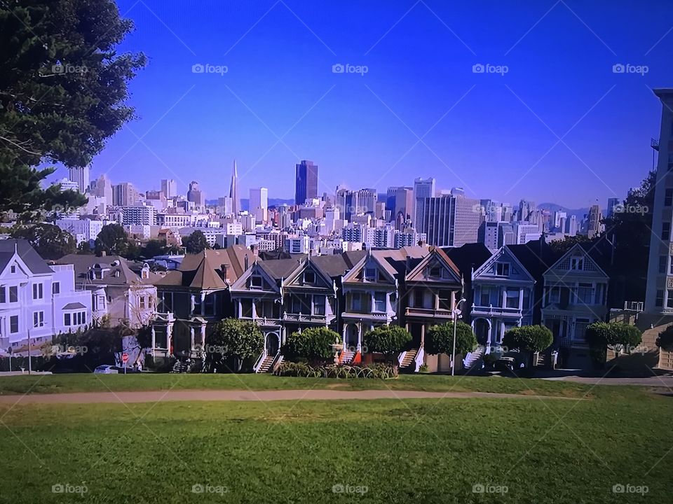 Seattle Houses