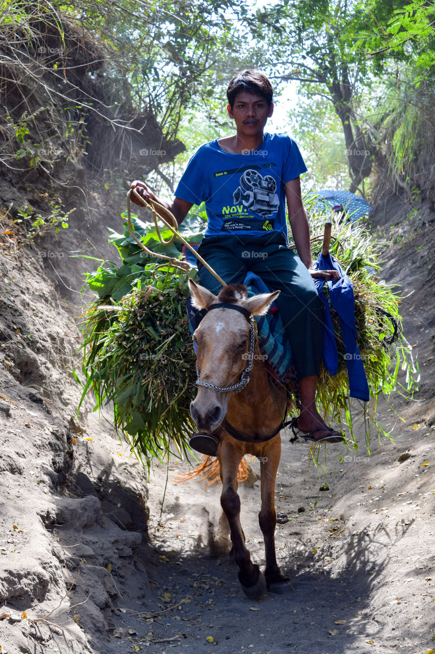 A young man working hard collecting the harvest