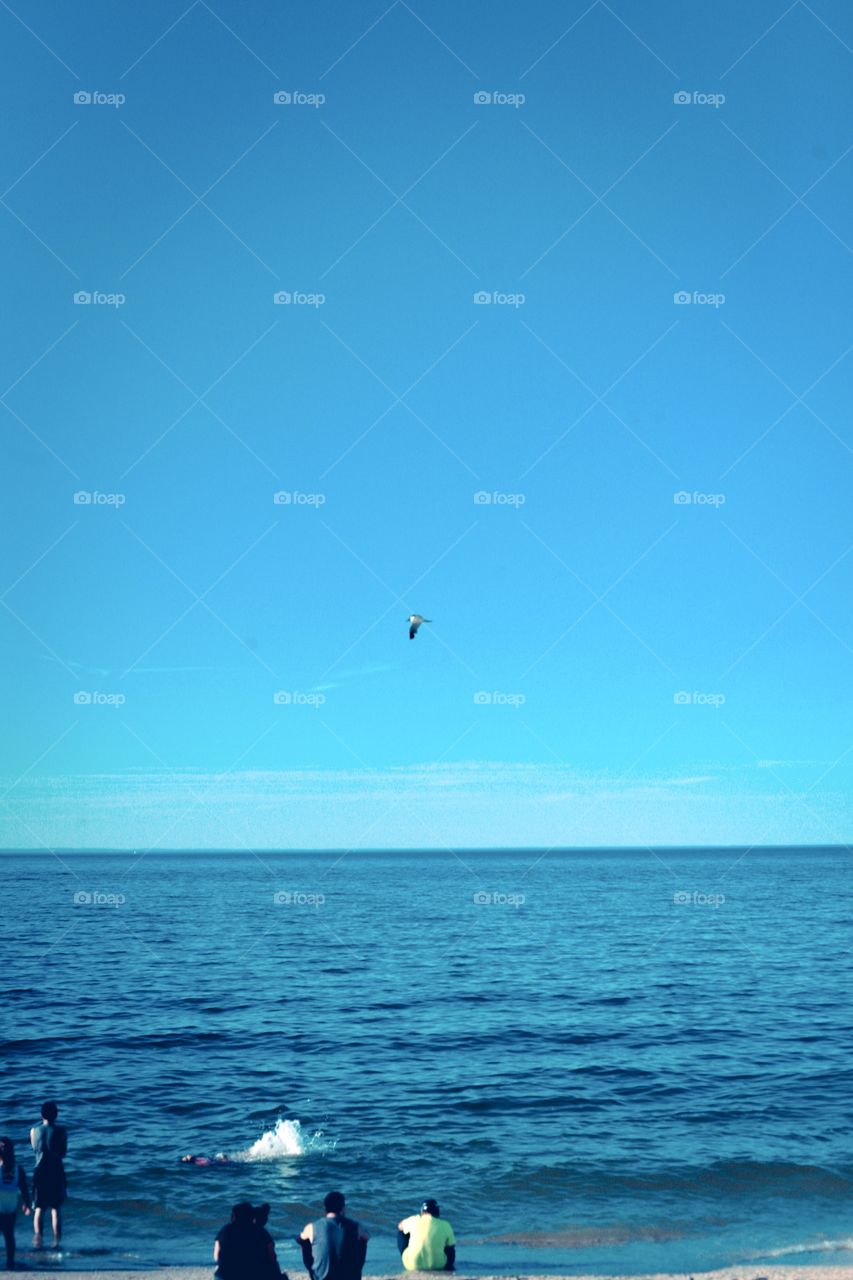 New York Sunken Meadow beach, summer, relaxation, people, swimming, sand, breeze, clear sky, day, warm, water, 