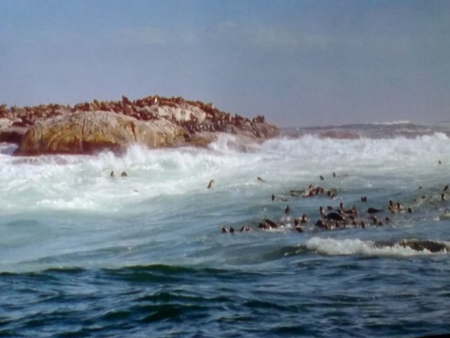 ocean