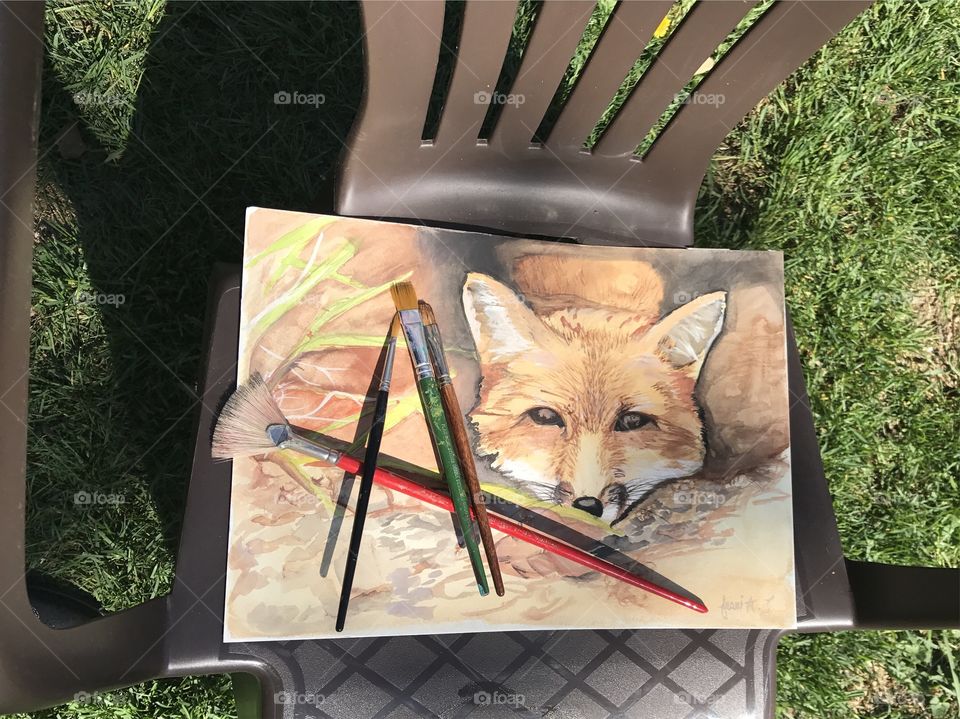 Water color of fox