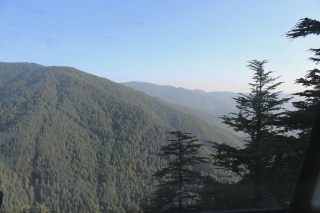 teavel simla