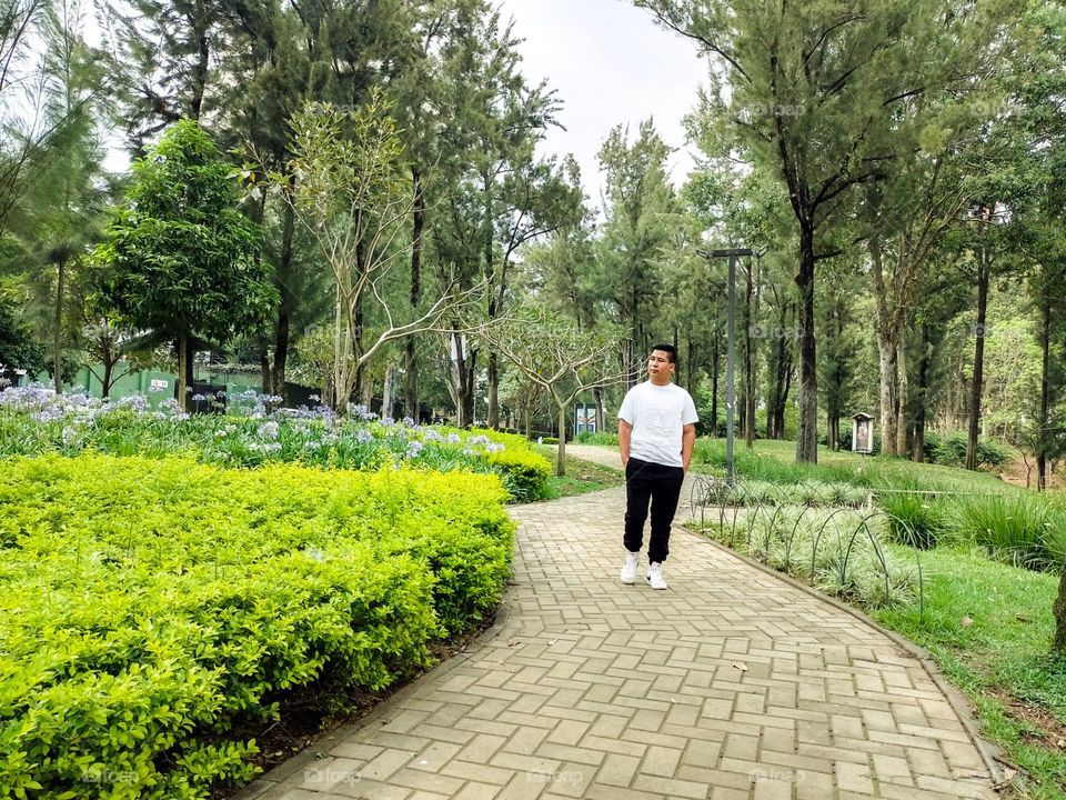 Person walking through a park in a city with lots of trees and bushes, located in Guatemala