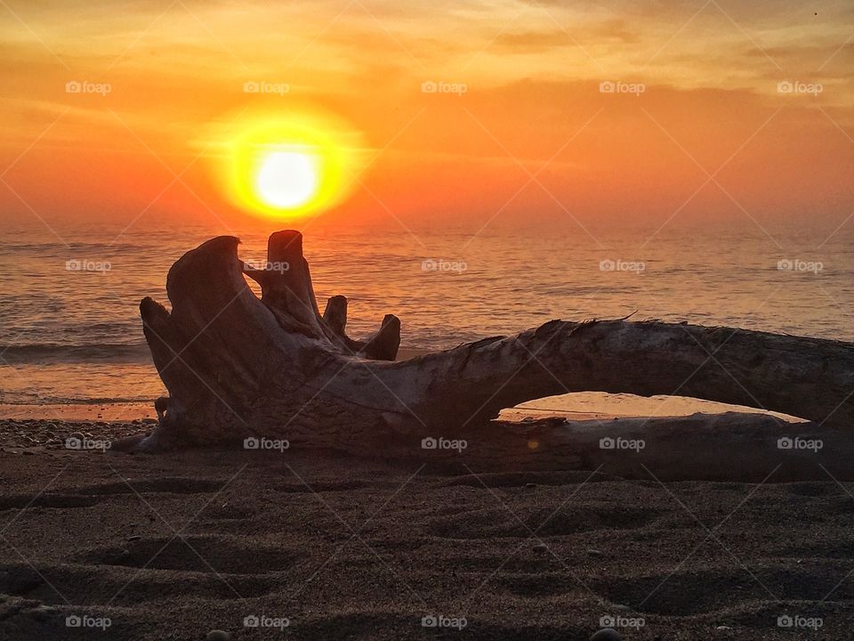 Sunset, Dawn, Water, Sun, Beach