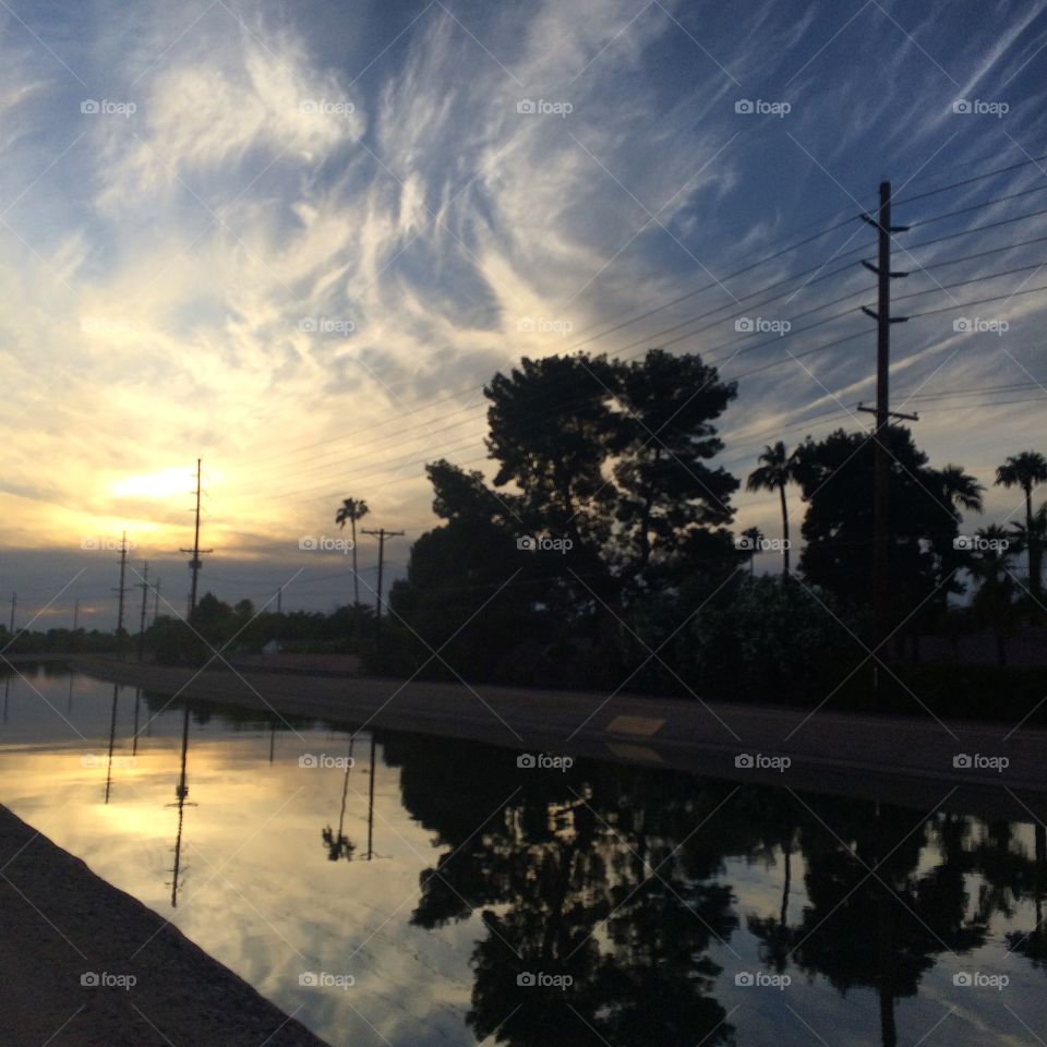 Sun along canal.