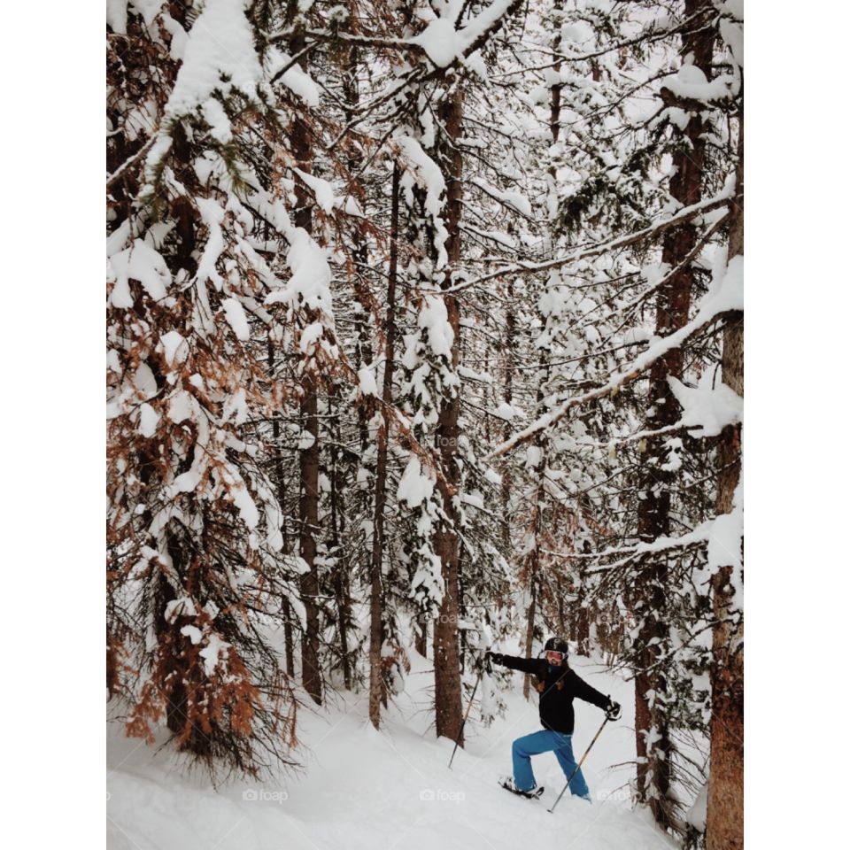 Skiing trees