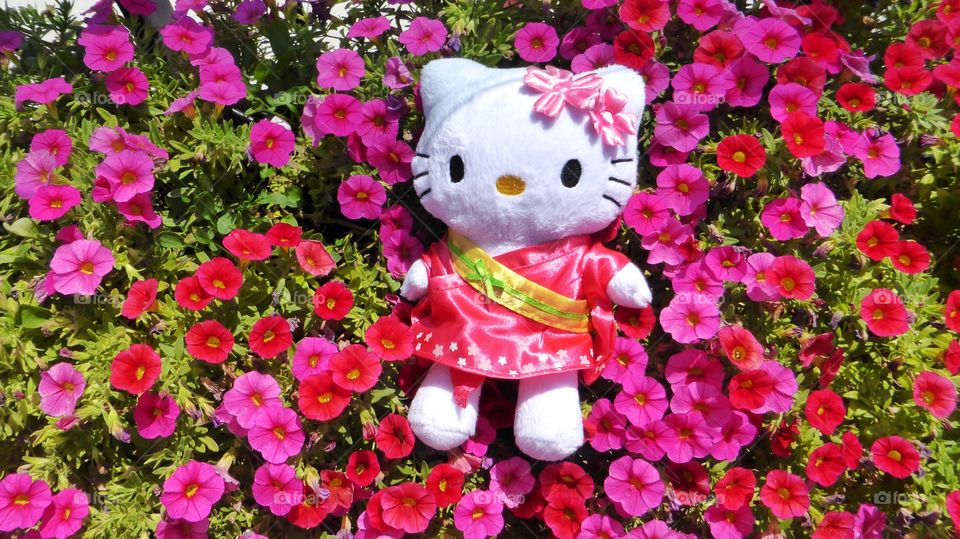 Hello kitty in flowers. Hello kitty is taking a rest in a fall of flowers,She is too beauty