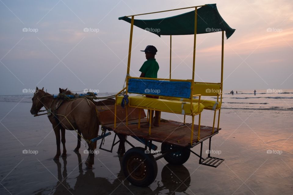 horse cart ride