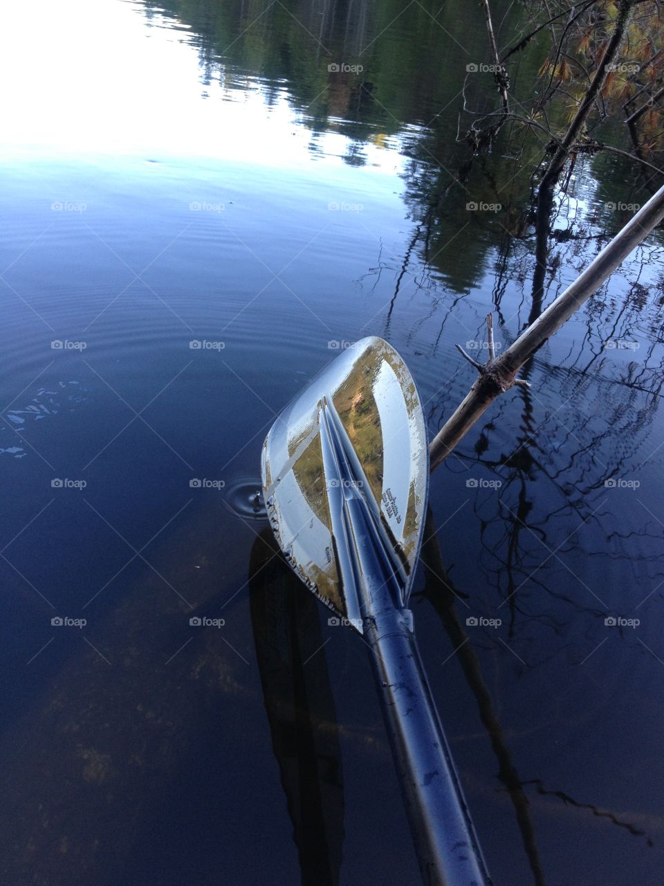 Paddle Mirror . Pause while lake paddling. Paddle reflected image from the lake shore
