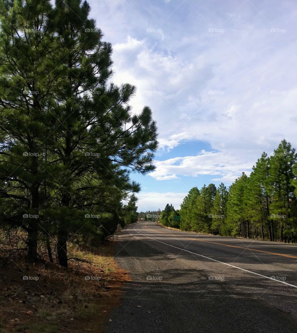 Scenic view on a cloudy day driving near Flagstaff, AZ