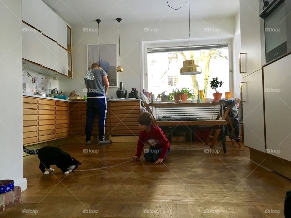 Boy plays with cat in kitchen, dad is doing the dishes