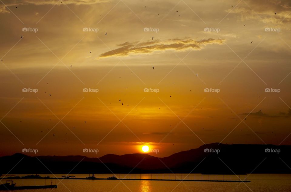 Birds flocking at sunset over Corfu Town Old Harbour, Greece