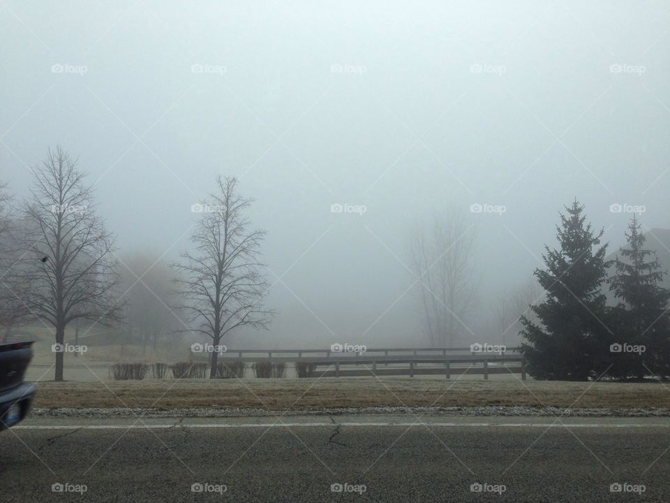 Fog