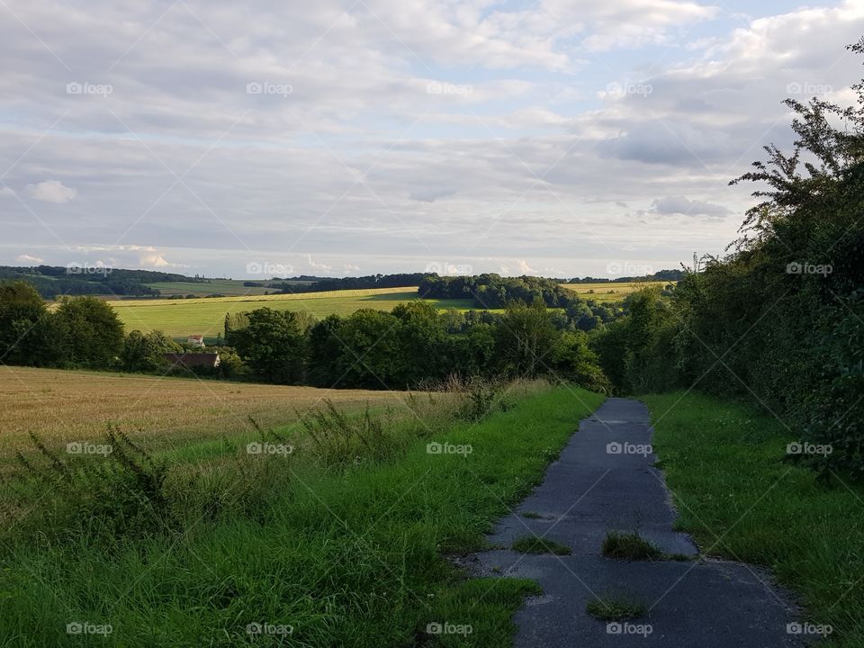 seen from the fields walk in nature