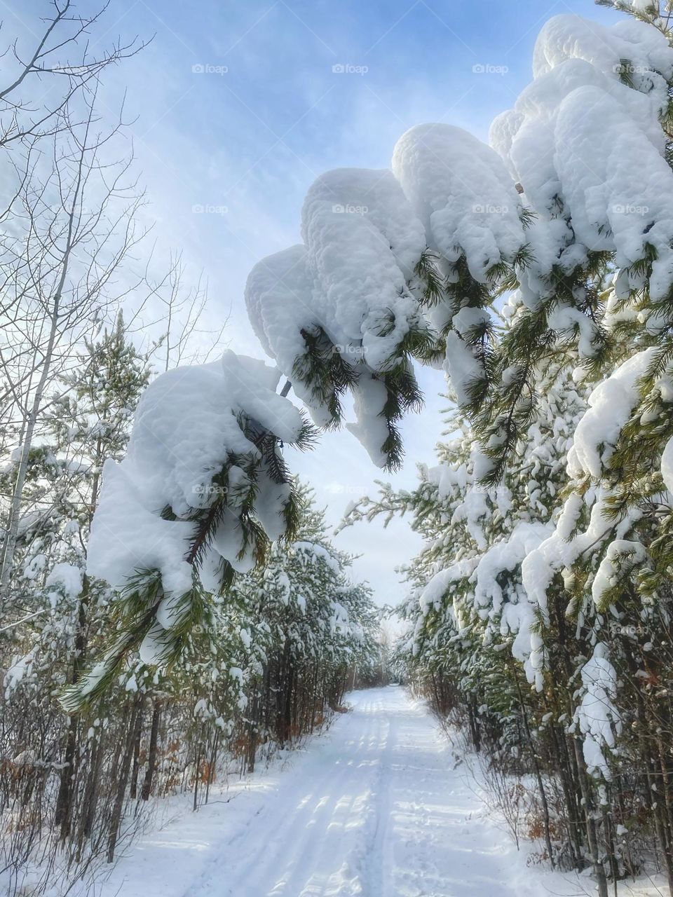 Winter hiking 