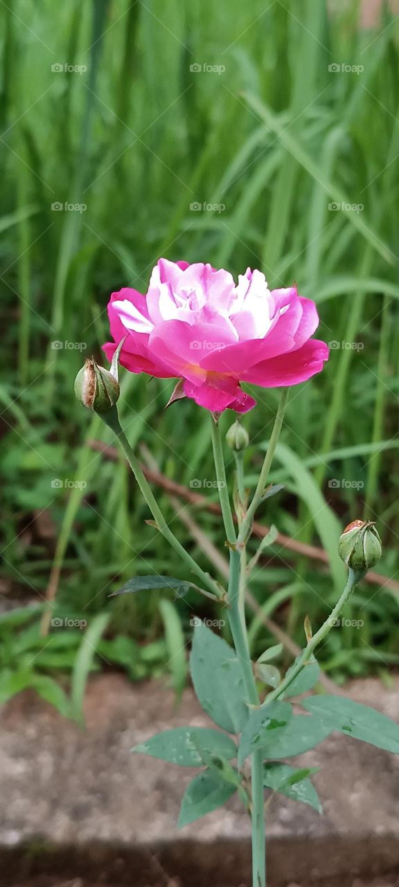 beauty is everything, is also from inside