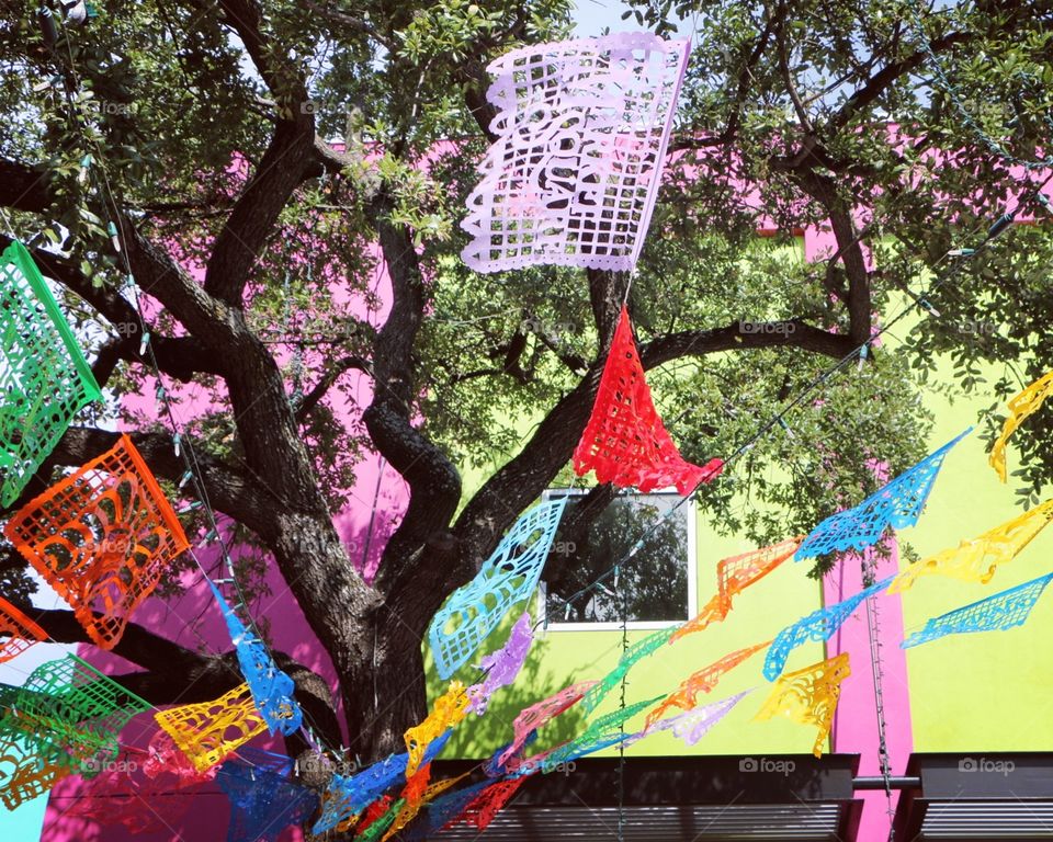 Tree, Park, Festival, Color, Religion